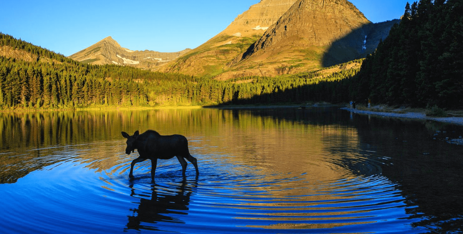 Payday Loans in Montana